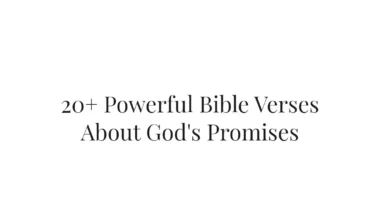 20+ Powerful Bible Verses About God's Promises