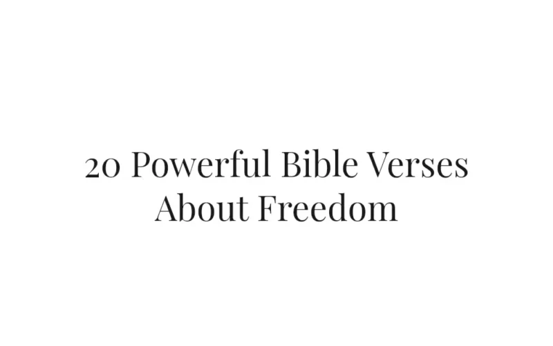 20 Powerful Bible Verses About Freedom